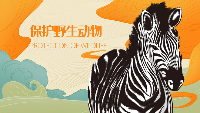 保护野生动物斑马公益环保手绘插画