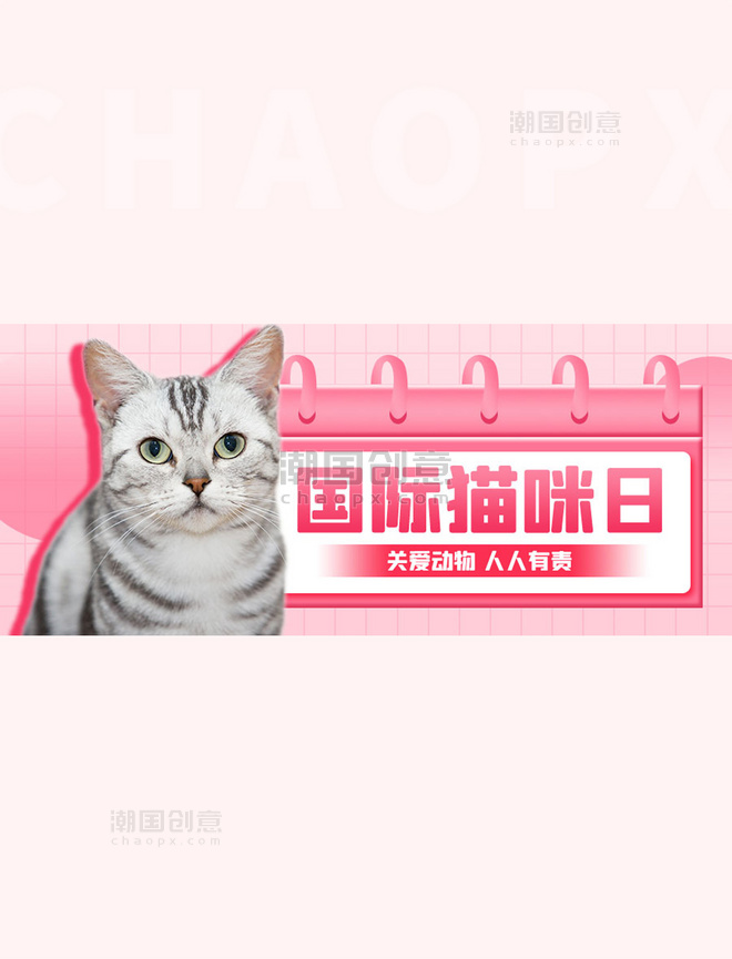 国际猫咪日节日科普粉色扁平简约公众号首图