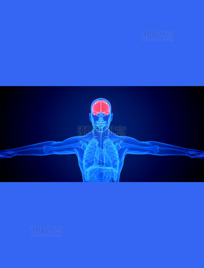 医疗健康透视疾病内脏器官蓝色c4d人体医疗大脑疾病