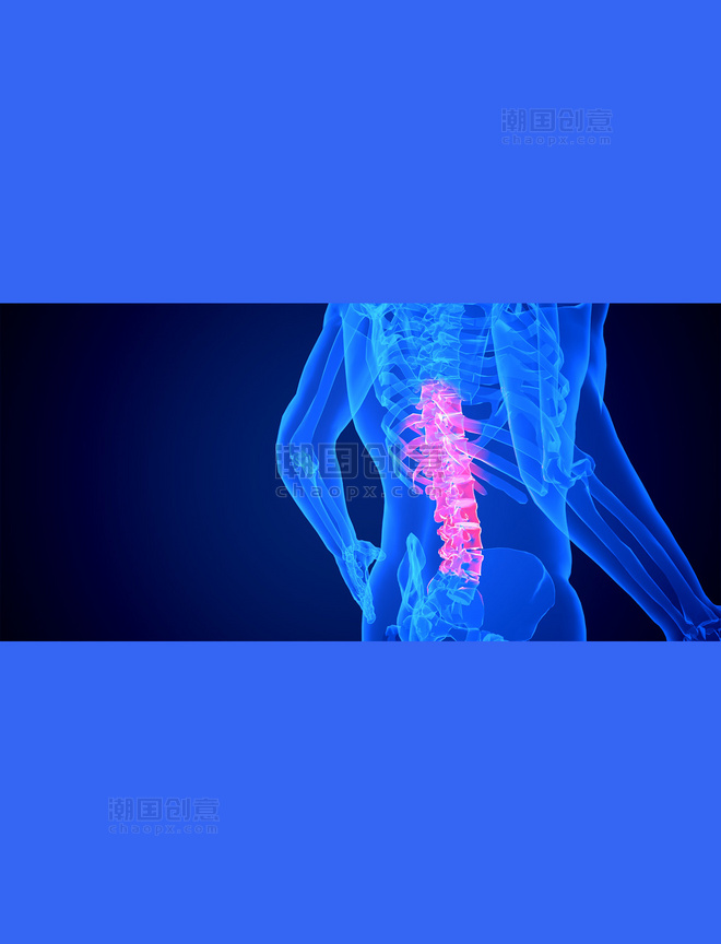医疗健康透视疾病骨骼器官蓝色c4d人体医疗腰部脊椎疾病