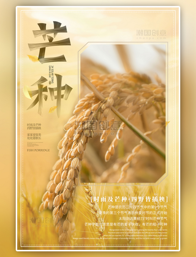 二十四节气芒种麦子黄色海报