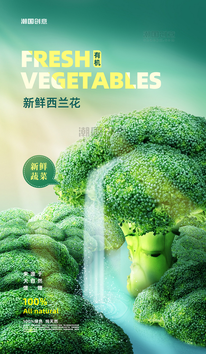 蔬菜西兰花创意合成海报健康绿色餐饮美食生鲜轻食