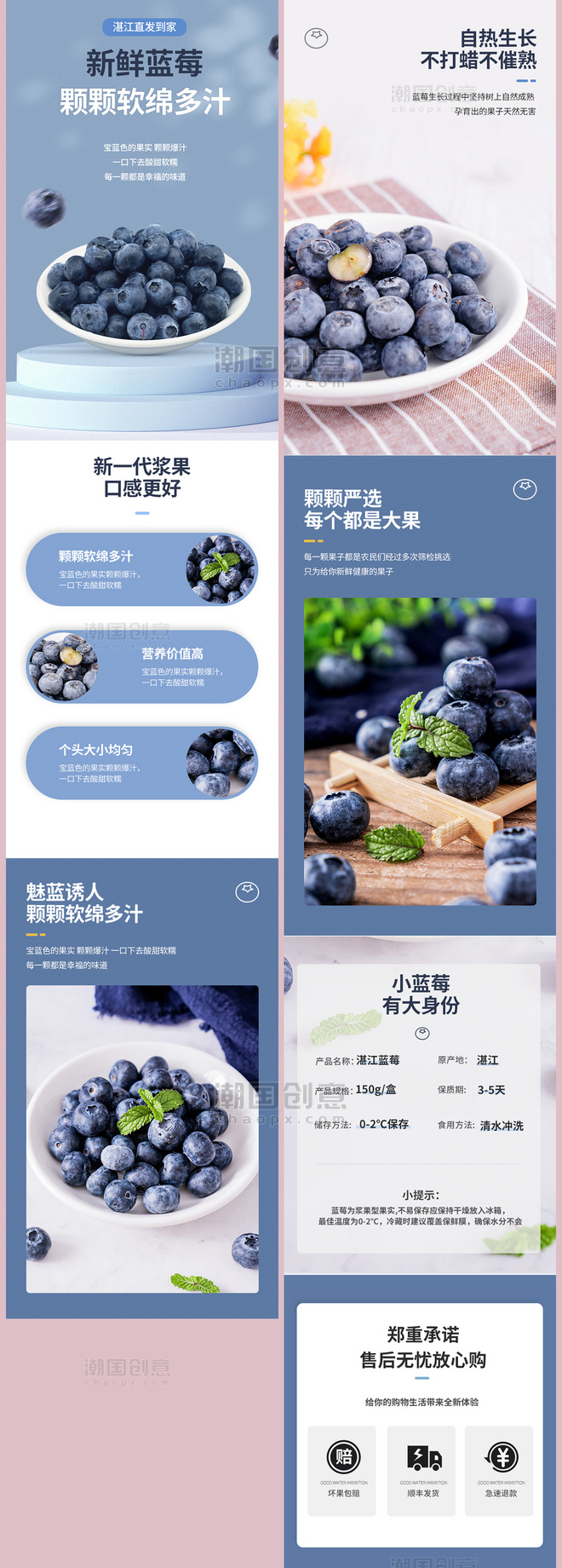 水果生鲜蓝莓餐饮美食蓝色简约电商详情页