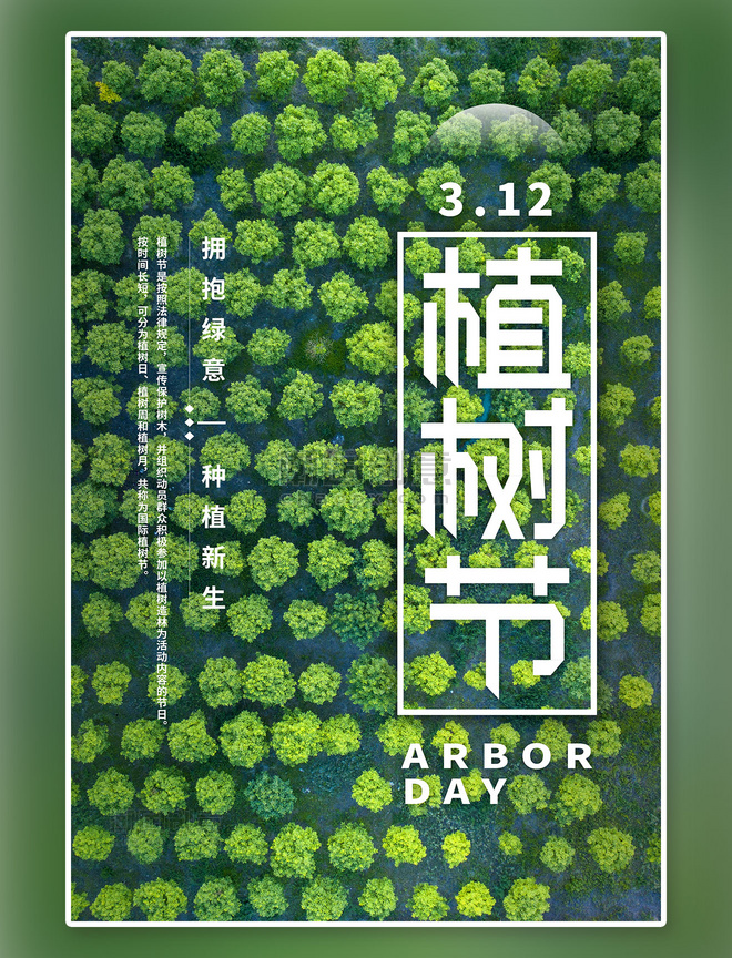 312植树节树林绿色简约海报