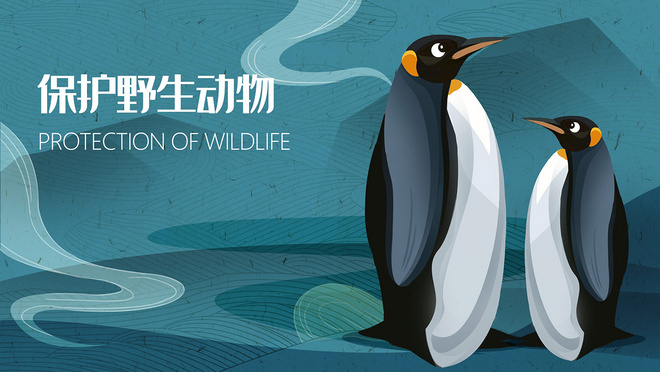 保护野生动物企鹅公益环保手绘插画
