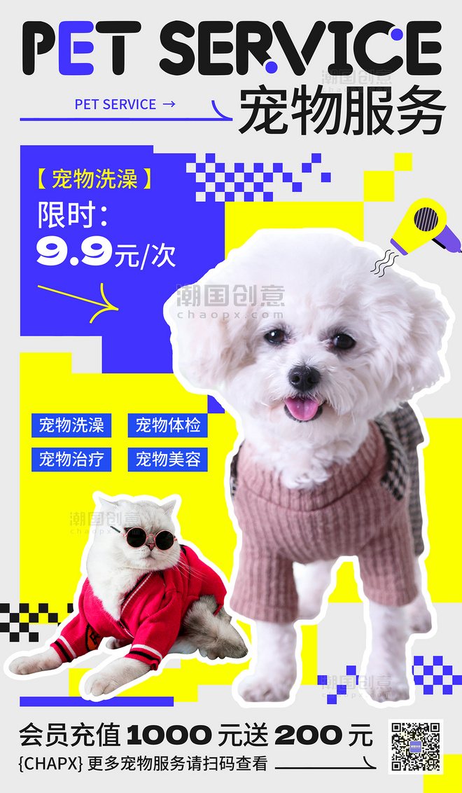 蓝色黄色灰色宠物生活馆宠物服务宠物项目宣传宠物海报美容