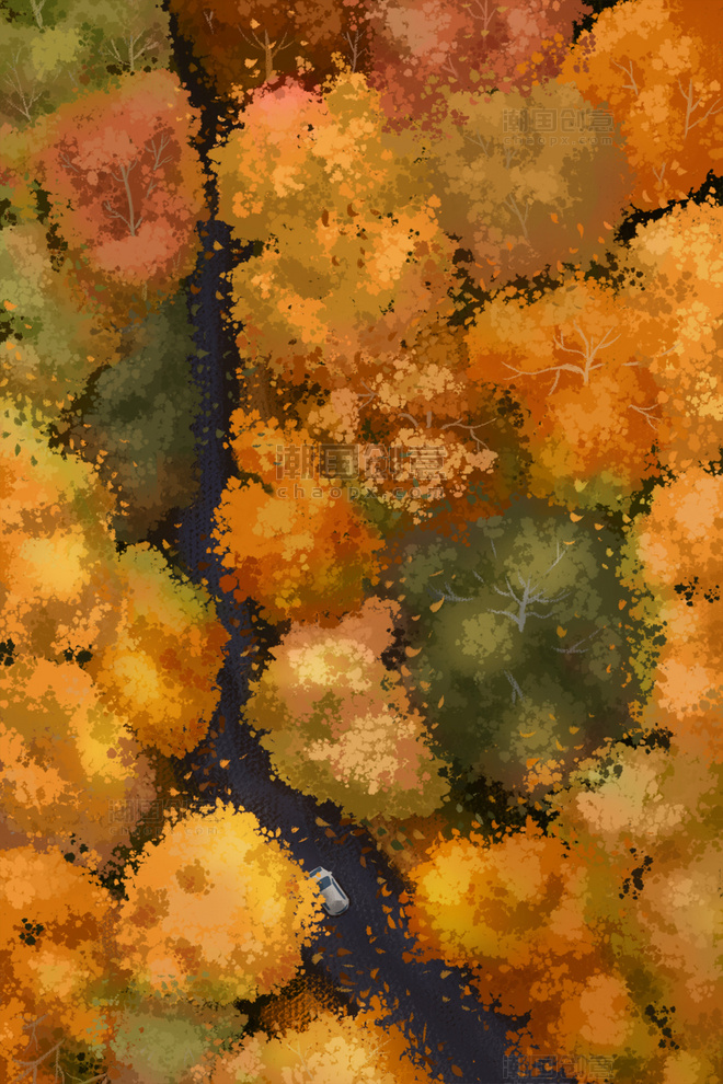 秋天秋季枫树林俯视秋天美景插画