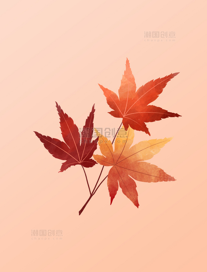 秋天秋季水彩枫叶三片元素