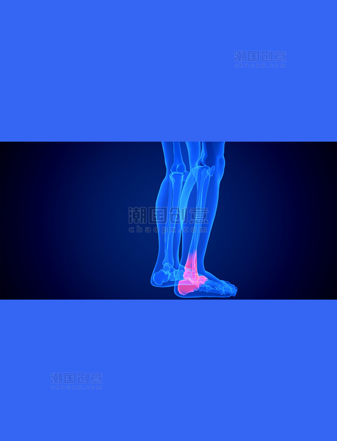 医疗健康透视疾病内脏器官蓝色c4d人体医疗脚踝疾病