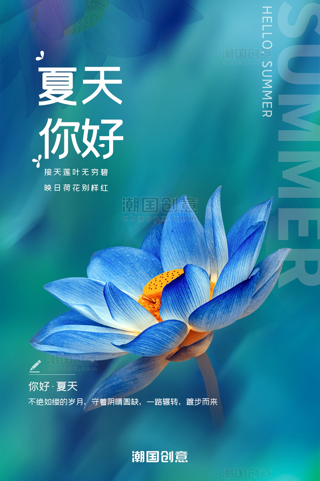 你好夏天夏季荷花中国风摄影图荷叶蓝色清新海报
