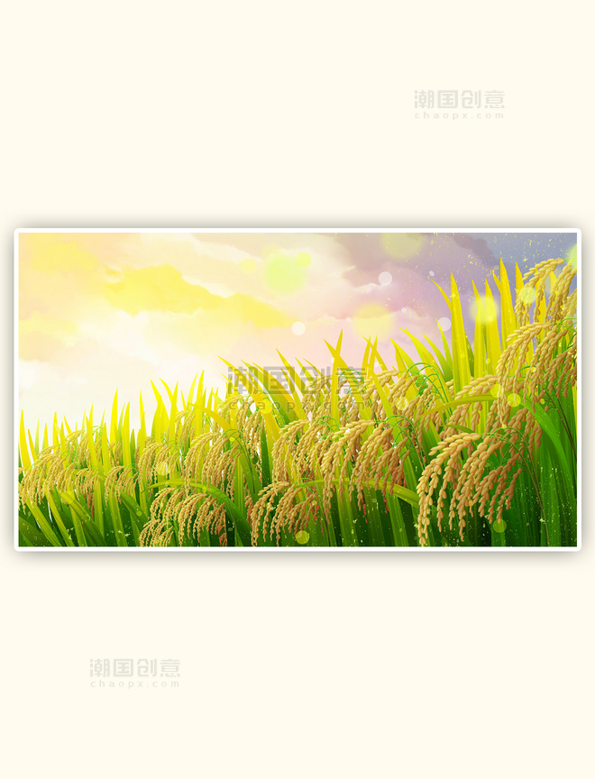 二十四节气小满水稻风景插画
