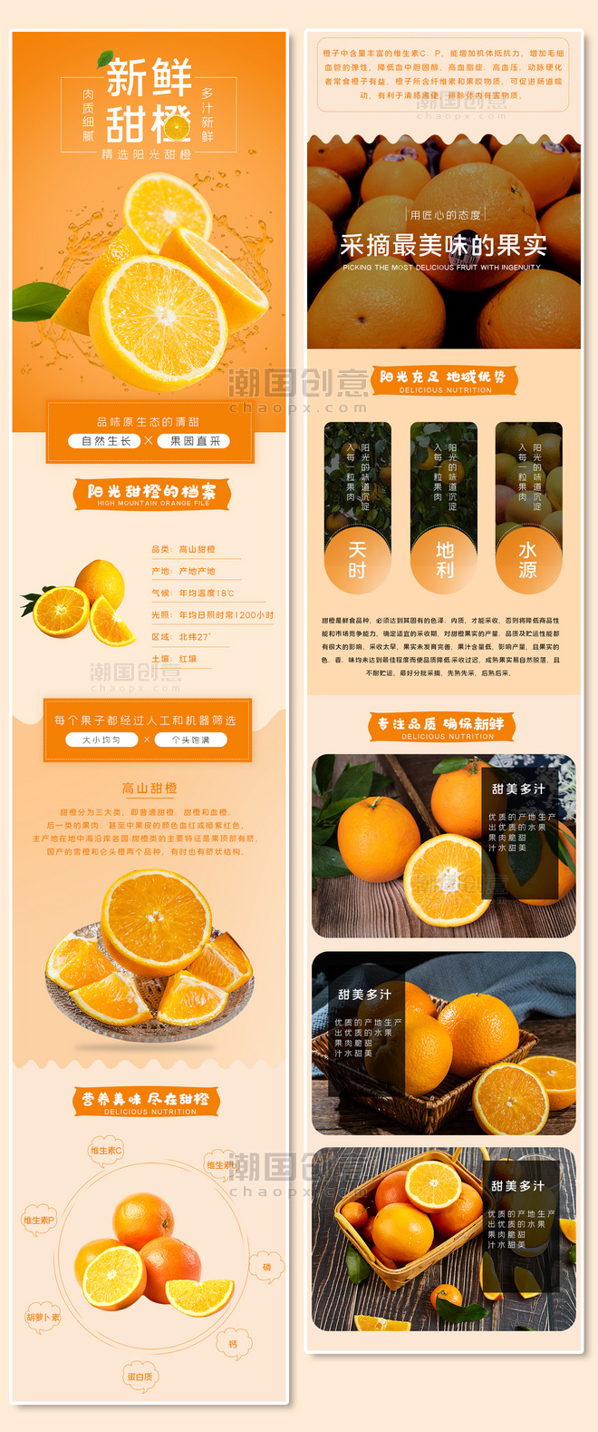 夏季水果生鲜促销宣传橙子鲜橙橘子橙色白色简约电商详情页