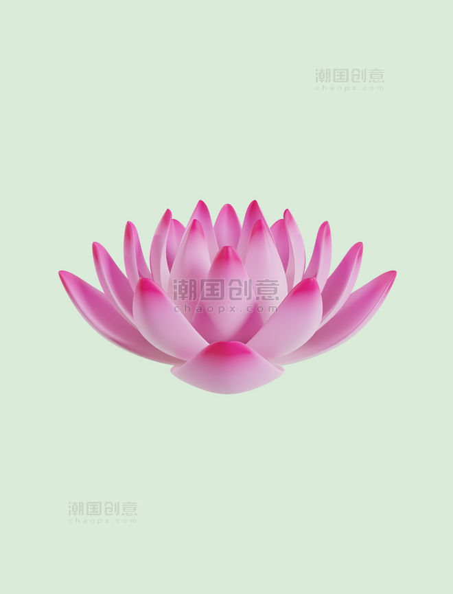 3D立体粉色睡莲荷花花朵植物花朵花