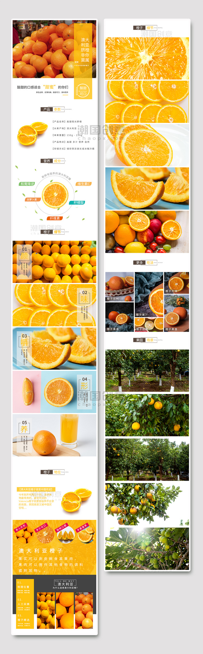 阳光脐橙水果电商详情页