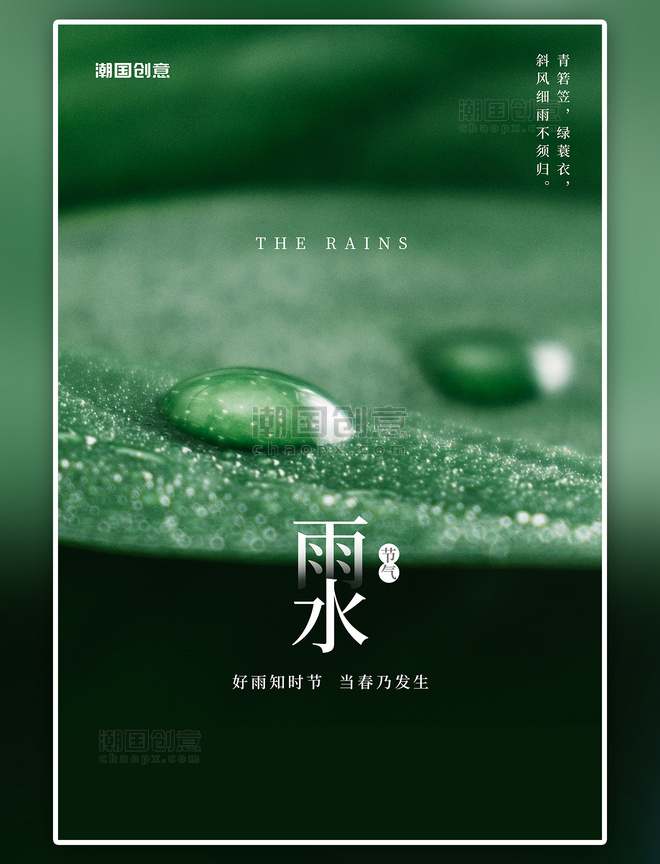二十四节气雨水节气叶子露水绿色简约摄影图海报