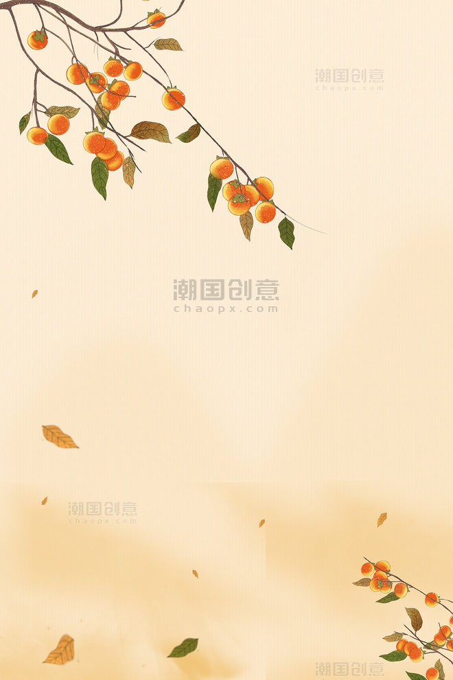 秋天秋分柿子树浅色简约节气海报背景