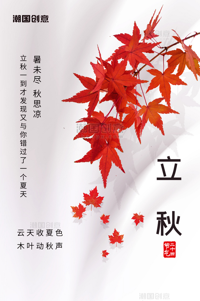 立秋节气枫叶红叶白色简洁海报