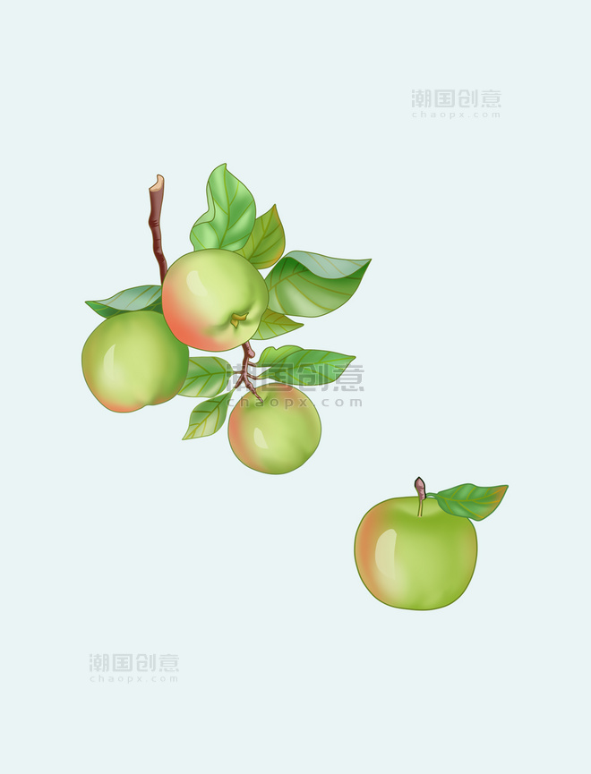 手绘插画农产品果树果实苹果