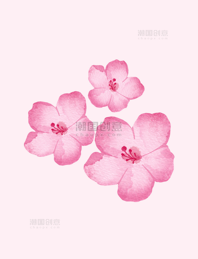 中国风水墨花朵桃花手绘植物元素