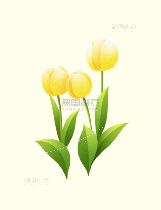 春天植物潮流黄色郁金香花朵