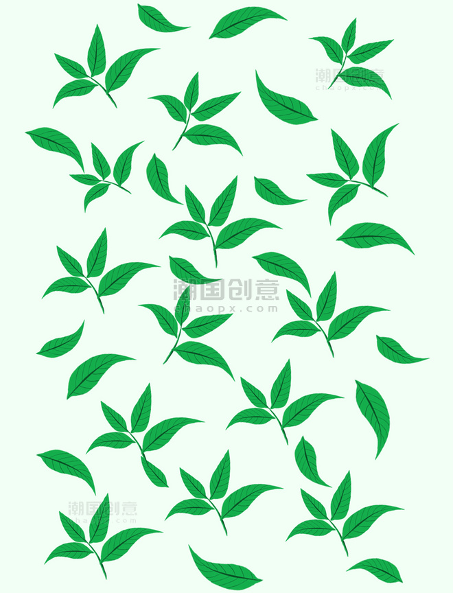 绿色树叶茶叶底纹