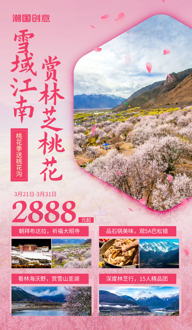 西藏旅行度假旅行社营销海报