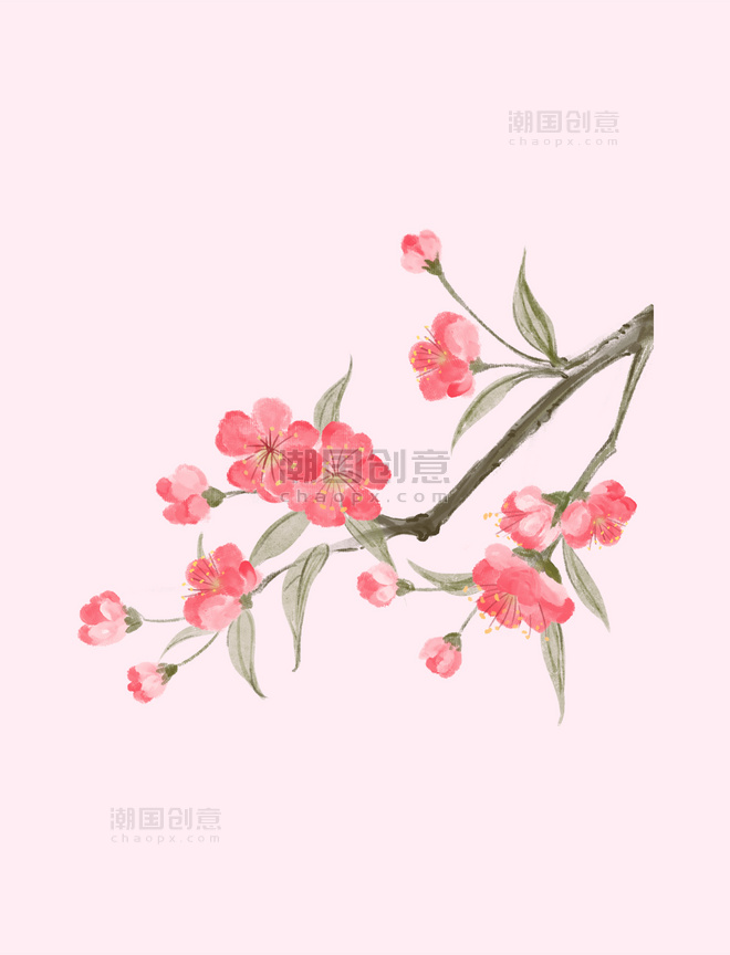 中国风水彩花卉粉色清新唯美