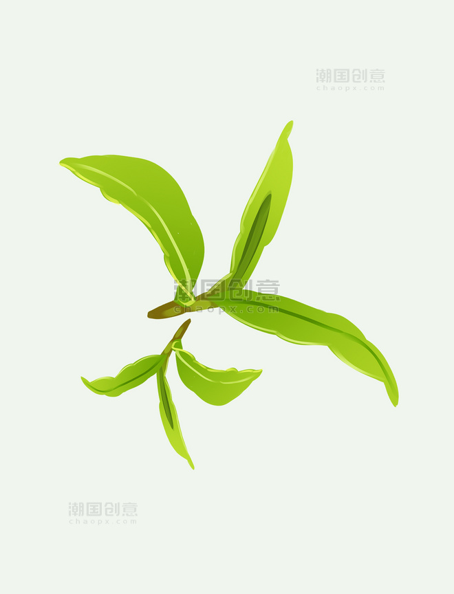 绿叶茶文化嫩芽手绘元素