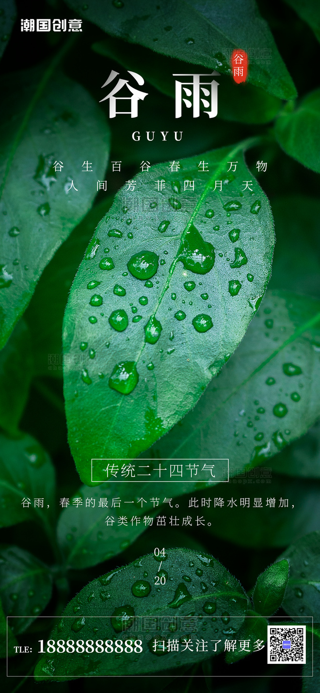 二十四节气谷雨绿色树叶简约手机海报封面