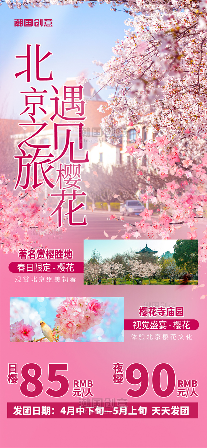 樱花赏樱季旅游宣传粉色简约大气全屏海报