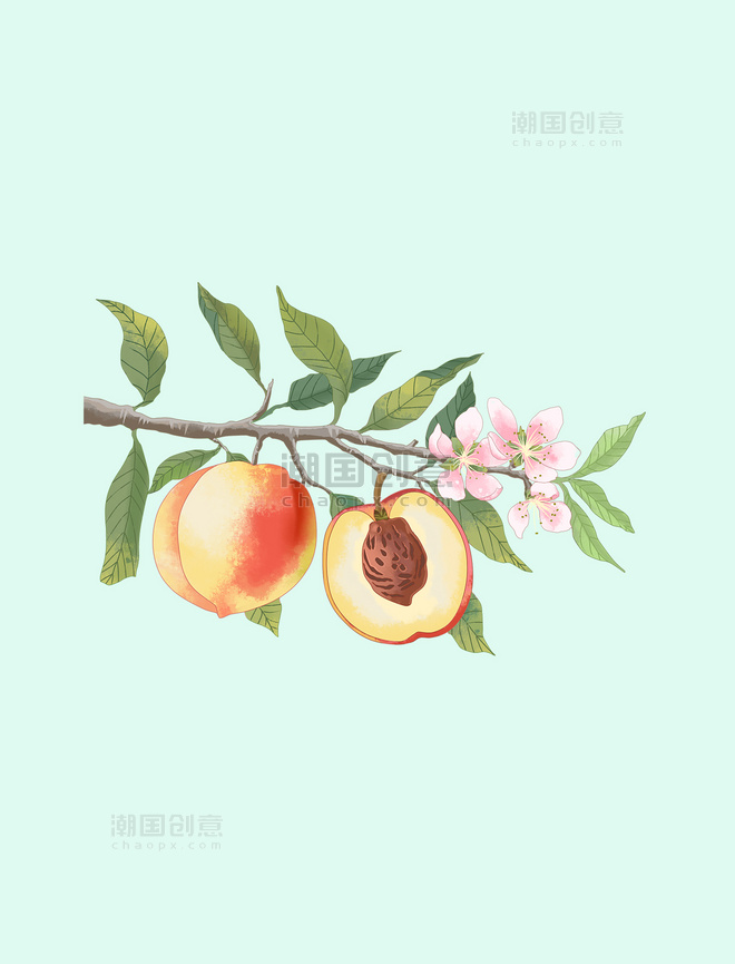 手绘新鲜水果水蜜桃桃树