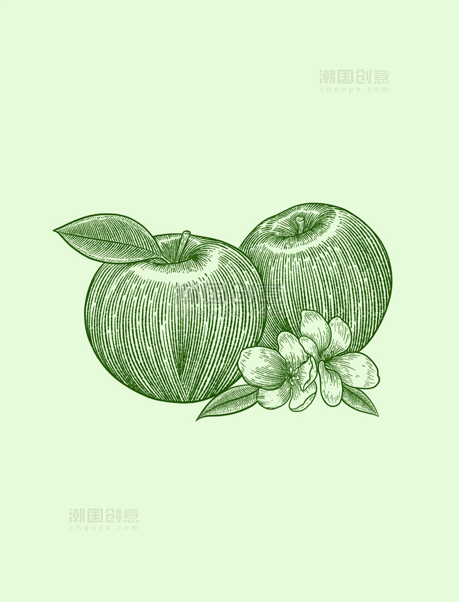 绿色线描线稿水果苹果花朵