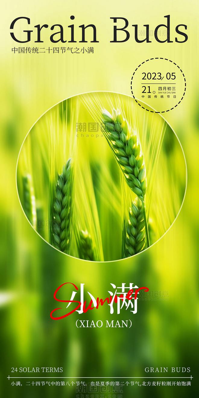 小满二十四节气麦穗麦子摄影图海报