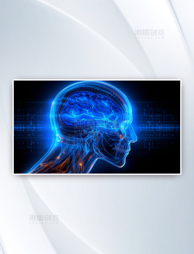 蓝色科技线条大脑器官背景