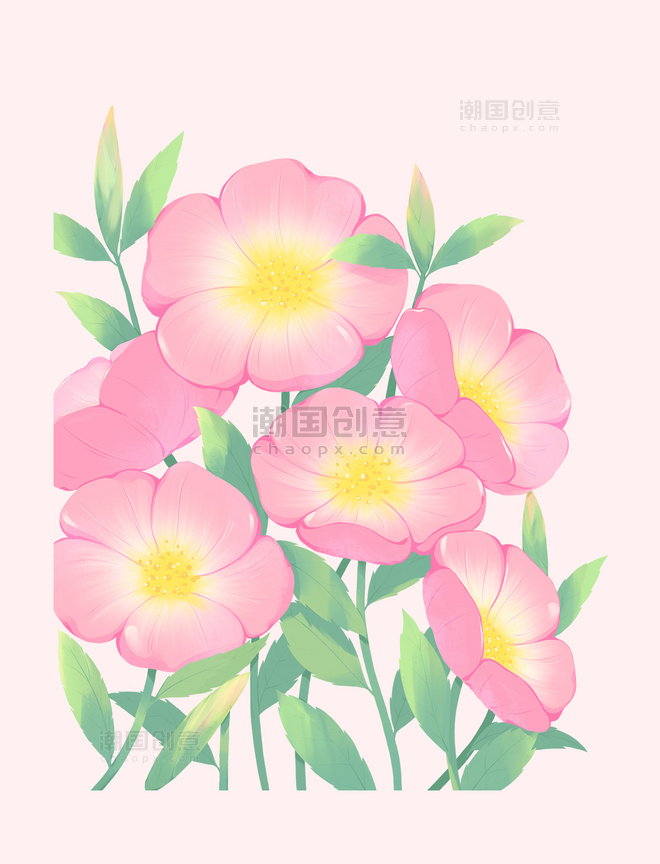 春季春天粉色花朵植物花草叶子装饰卡通手绘花卉元素