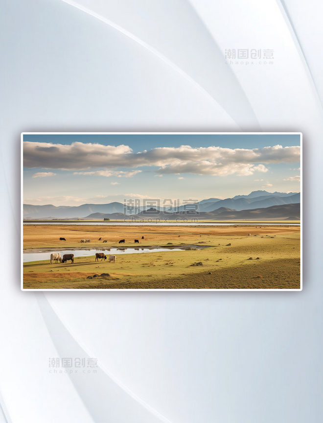 西藏草原牛羊蓝天风景摄影图