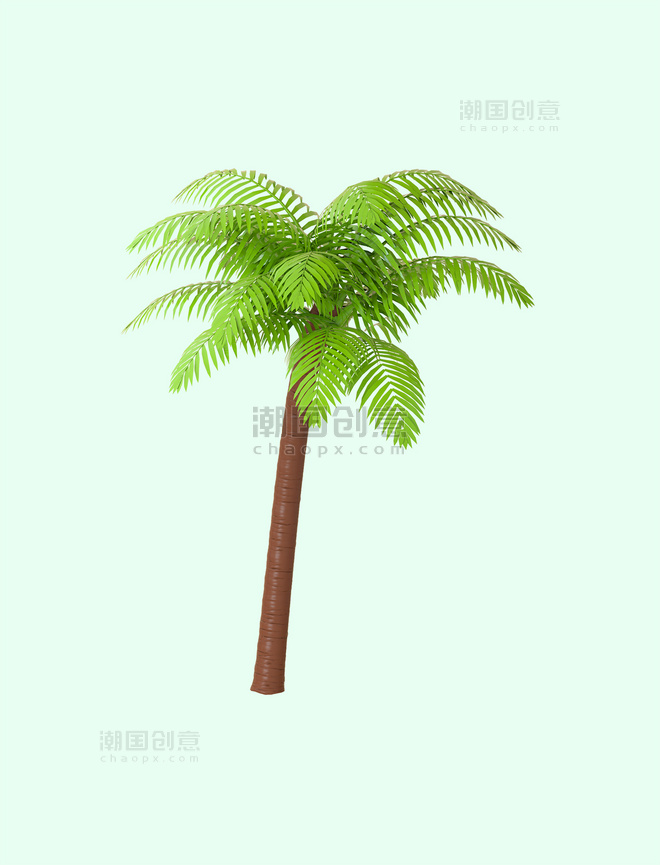 夏天夏季椰子树椰树