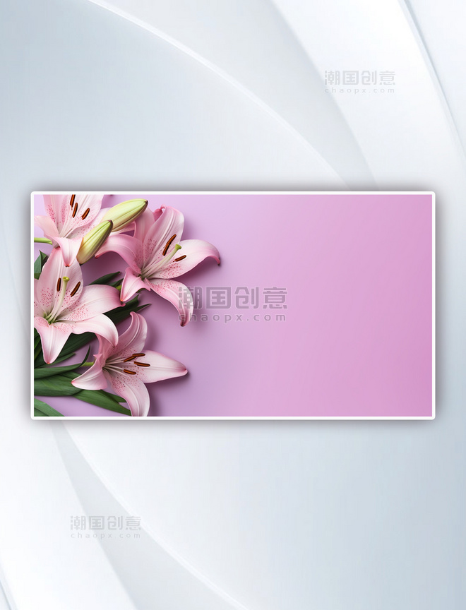 粉红色百合花信封浅紫色横图背景