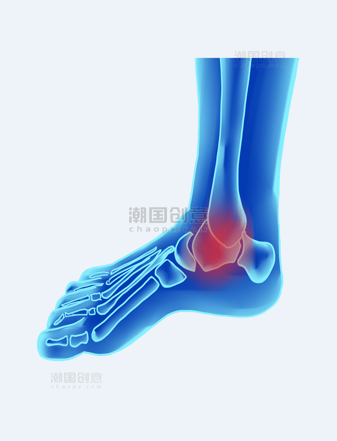 医疗科技人体脚骨