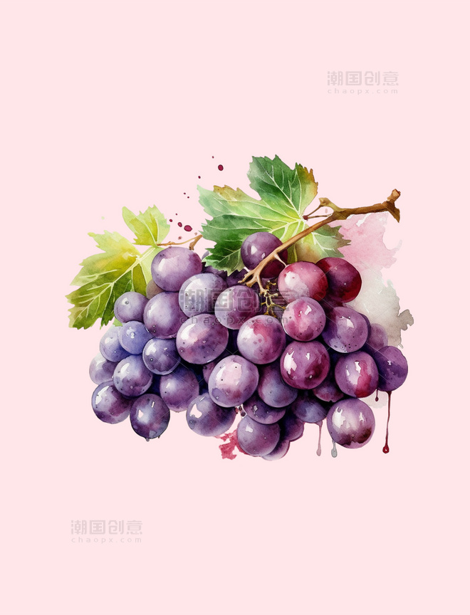 一串水彩紫色葡萄水果质感