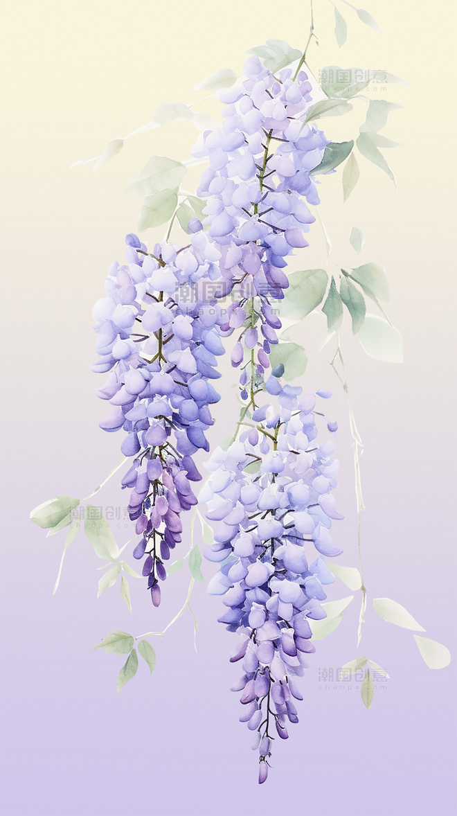 花草植物紫藤花花朵