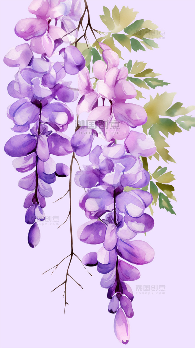 花草植物紫藤花鲜花