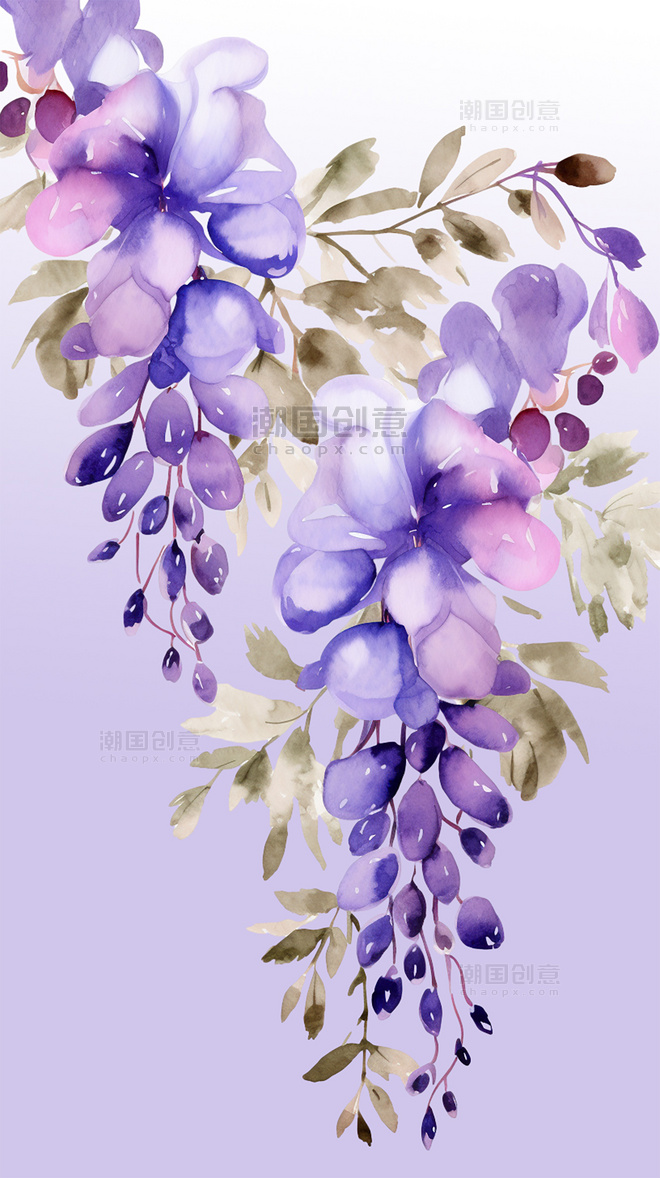紫藤花鲜花花朵花草植物绿叶