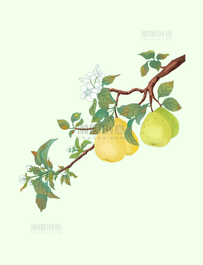 新鲜水果梨树元素