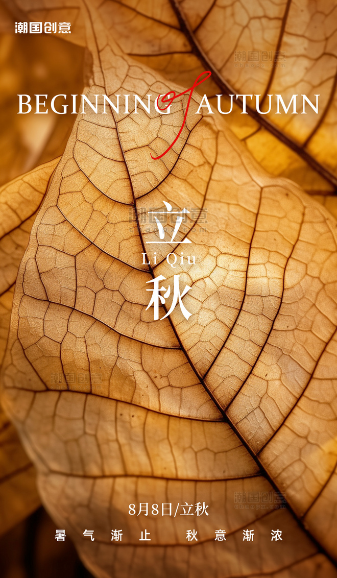 二十四节气立秋节气树叶叶脉暖咖色AI插画海报