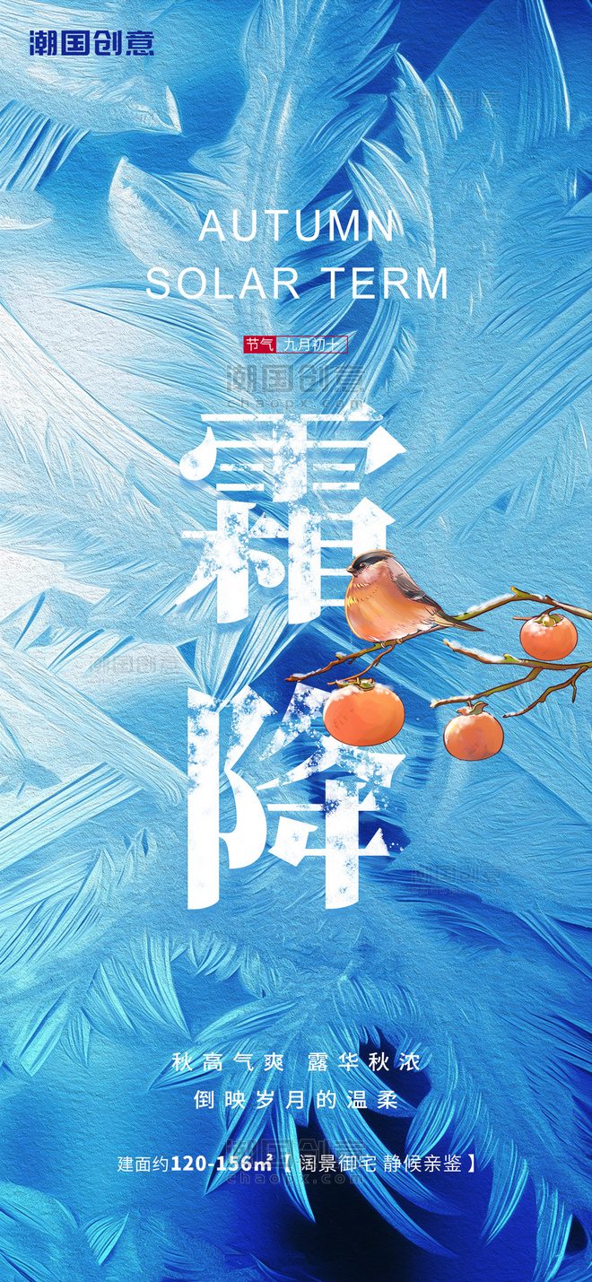 二十四节气霜降柿子冰花蓝色简约海报