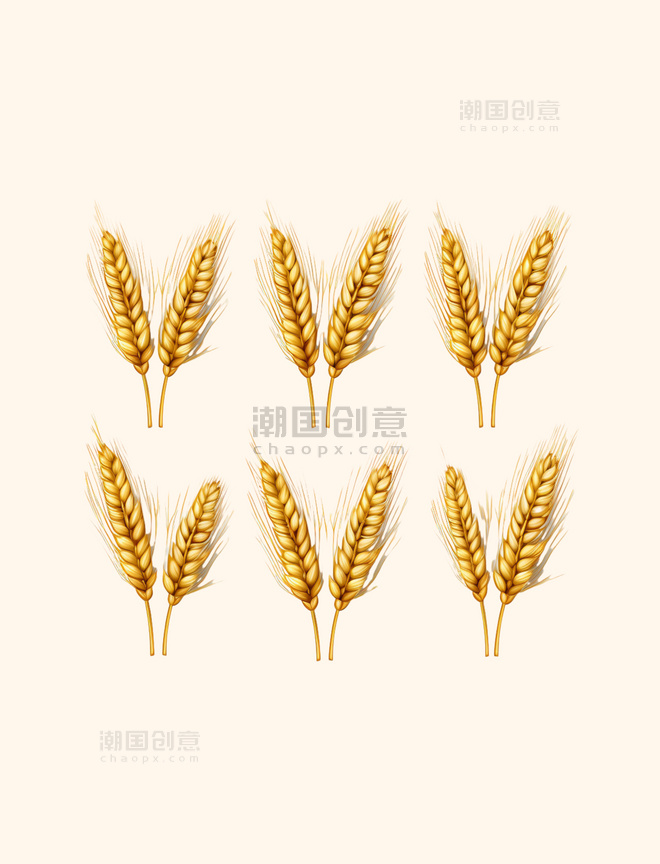 小麦麦穗丰收金色麦子手绘元素