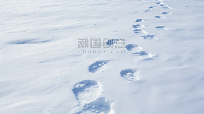 潮国创意雪地中的脚印摄影冬天冬季冬日大雪下雪