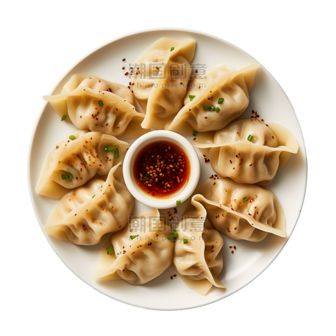 潮国创意饺子食物纹理元素立体免扣图案