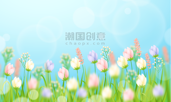 创意唯美绿色清新花边春季春天卡通花园植物花朵郁金香背景